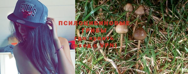 стаф Белоозёрский